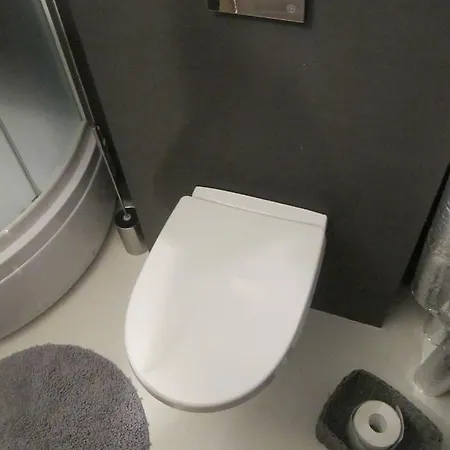 Apartman Pine *